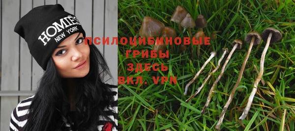 мдма Михайлов